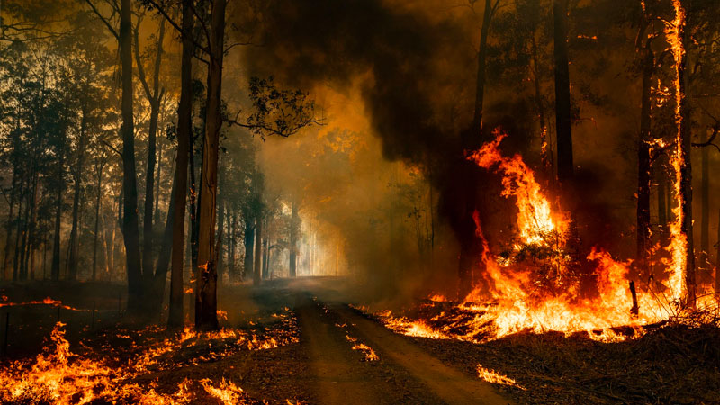 ▲ The federal government’s lack of engagement on health and climate change has left Australians at significant risk of illness through heat, fire and extreme weather events.
