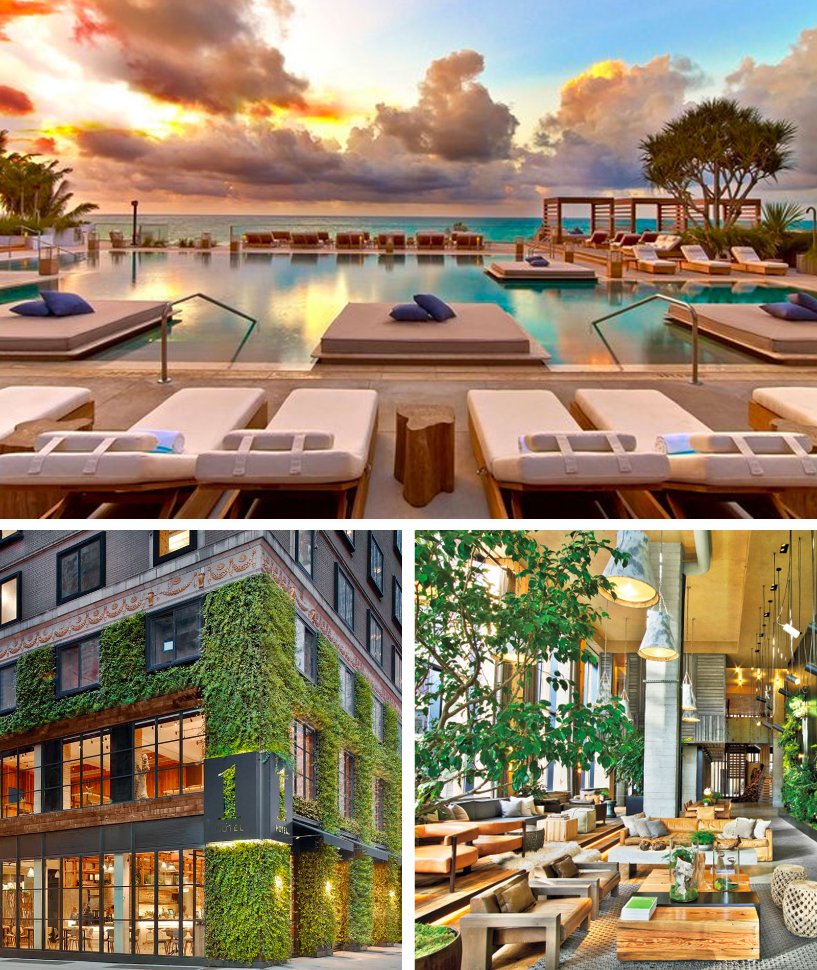 Other 1 Hotel locations include South Beach in Miami (top), Central Park (bottom left) and Brooklyn  in New York City (bottom right).